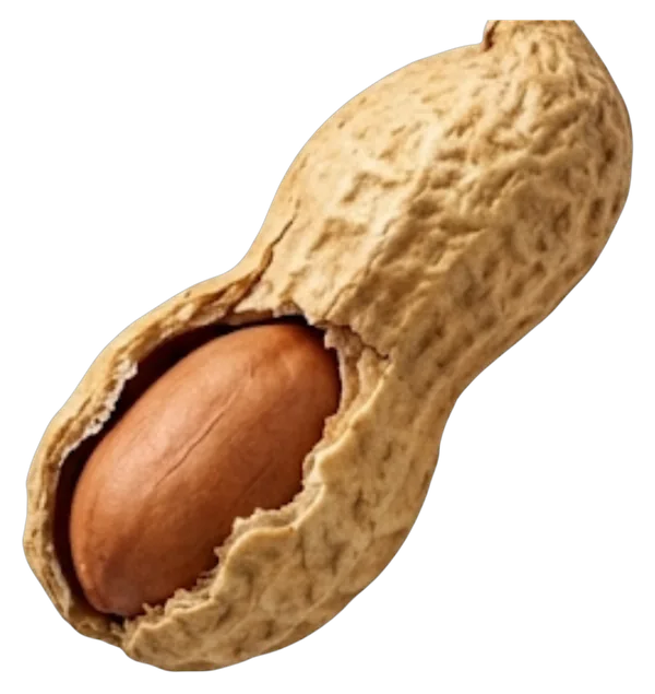 Maní